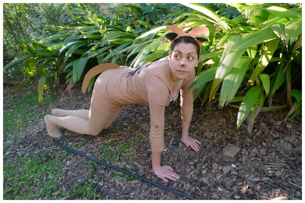 Day 72: National threatened Species Day