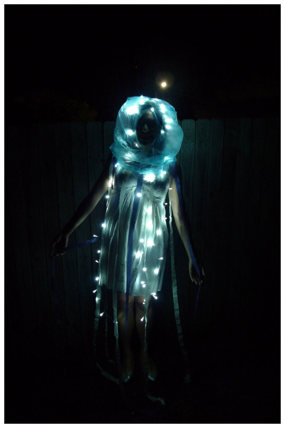 Day 266: Under The Sea