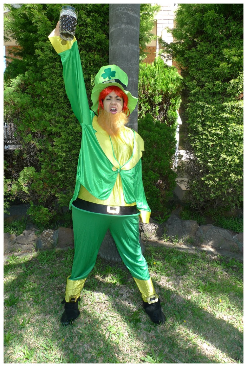 Day 263: St. Patrick's Day