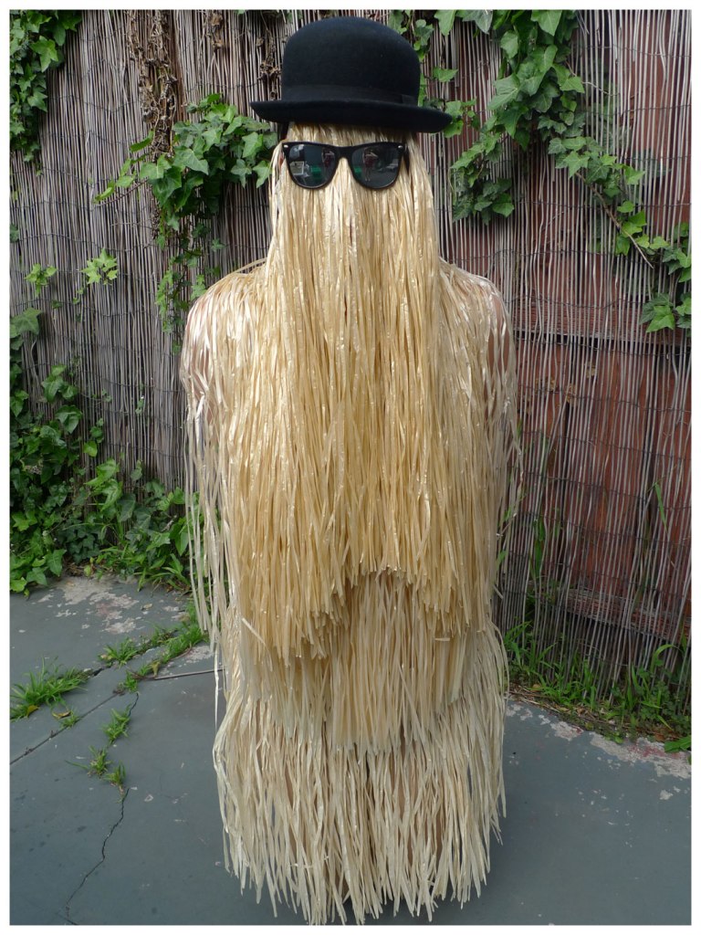 Cousin It from The Addams Family Costume