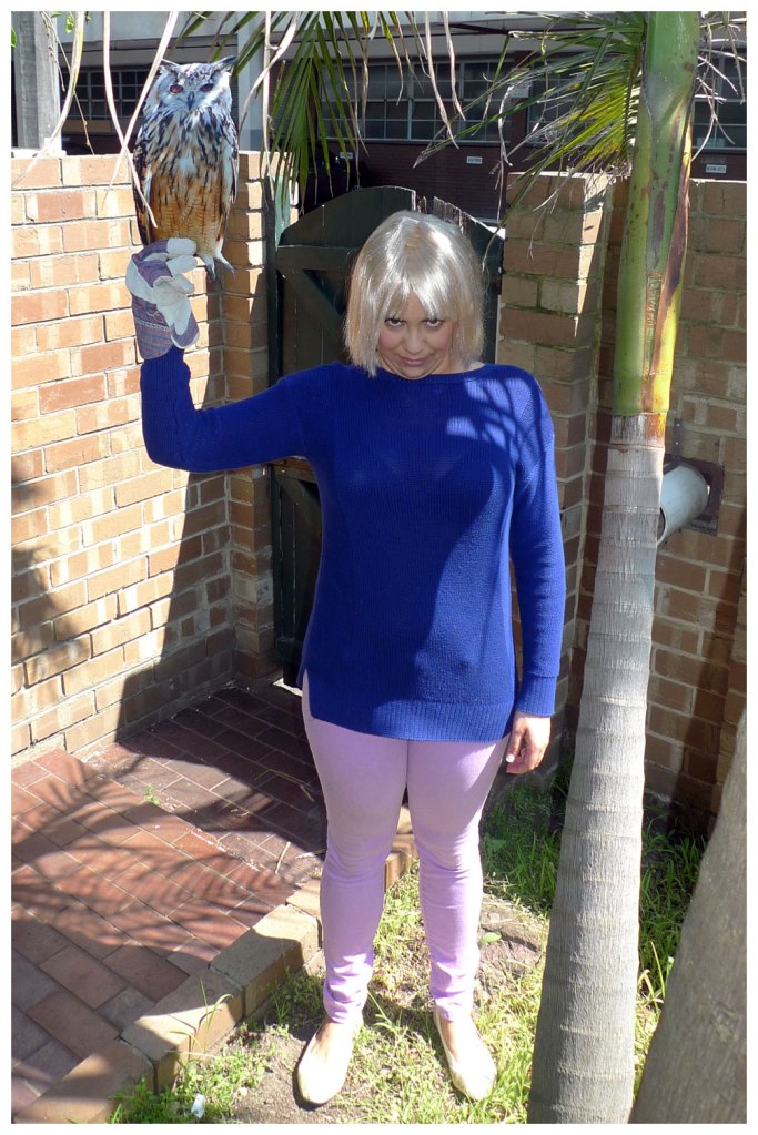 Diabolical Owl Girl Costume