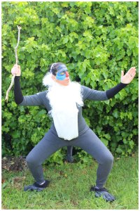 Rafiki from The Lion King Costume