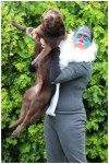 Rafiki from TI'm sorry Ubu, it had to be donehe Lion King Costume
