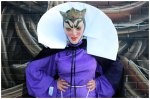 Evil Queen from Snow White Costume